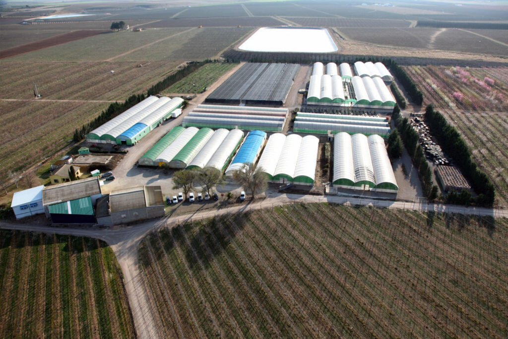 Viveros vista dron 02